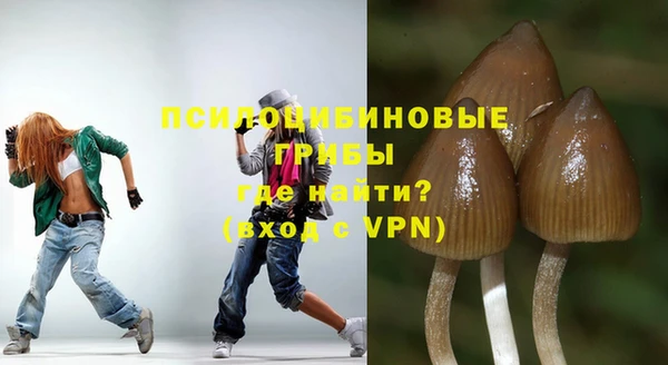 ALPHA PVP Заводоуковск