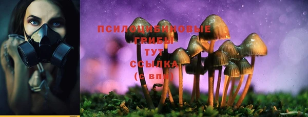 ALPHA PVP Заводоуковск
