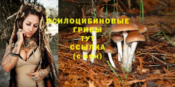 крисы Заволжье